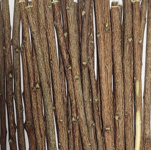 Neem Wood | Ayurveda’s Ancient Guardian