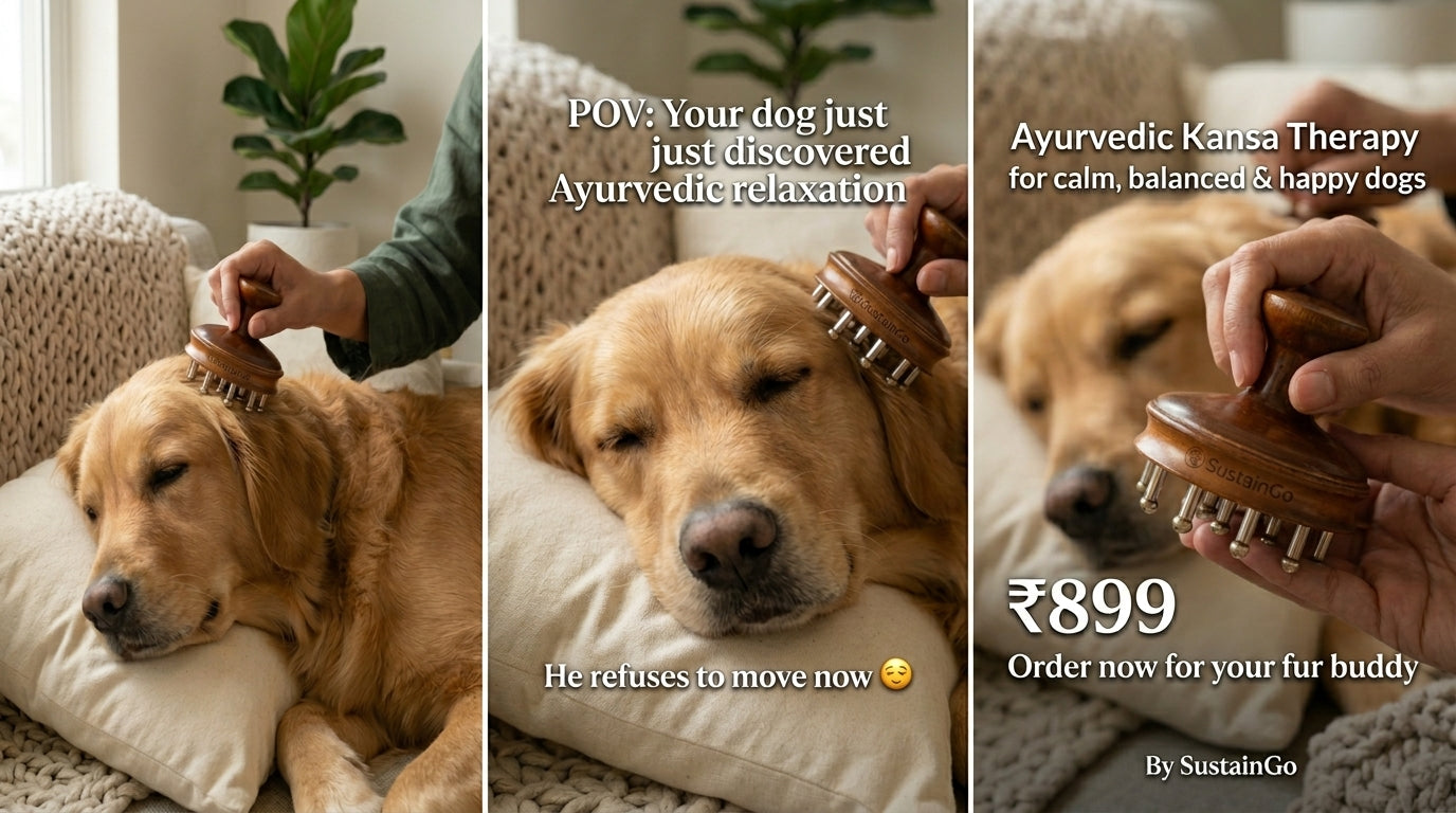 Ayurvedic Kansa Therapy Massager for Dogs and Cats