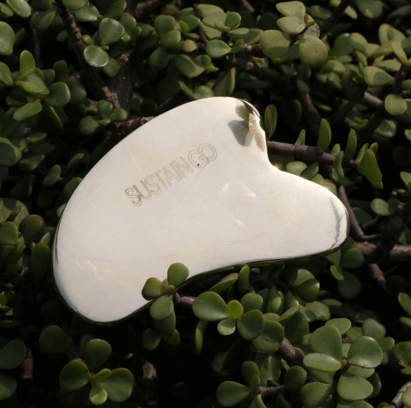 Buy Kansa Guasha for face massage – Ayurvedic tool for marma massage and natural skincare