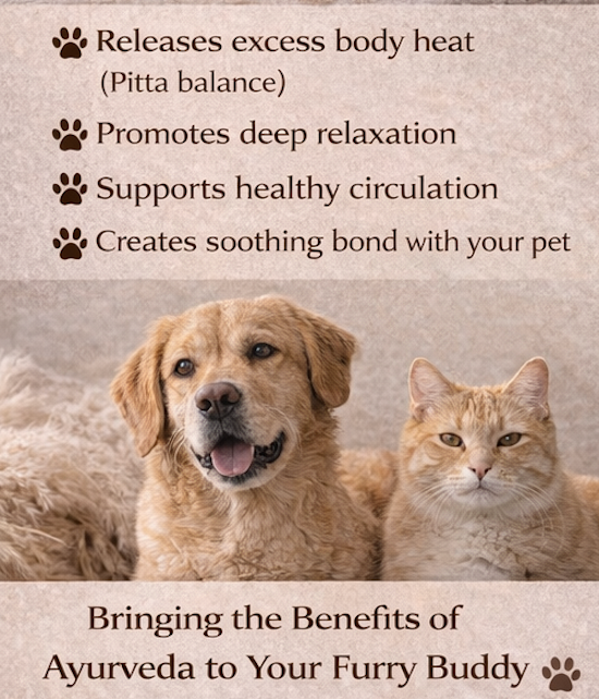 Ayurvedic Kansa Therapy Massager for Dogs and Cats